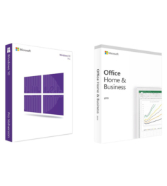 Windows 10 Pro + Home Business 2019