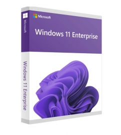 Windows 11 Enterprise