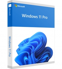 Windows 11 Professional