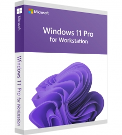Windows 11 Pro for Workstation